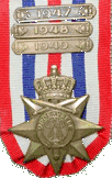 freedom medal