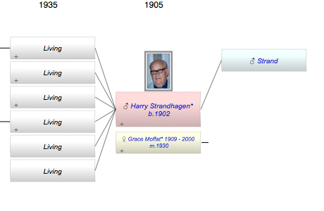 Harry Irving Strandhagen*