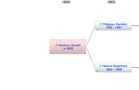 Henricus Adrianus Gerstin