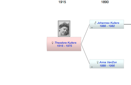 Theodora Johanna Kuiters