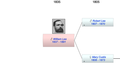 William Henry Fitzhugh Lee